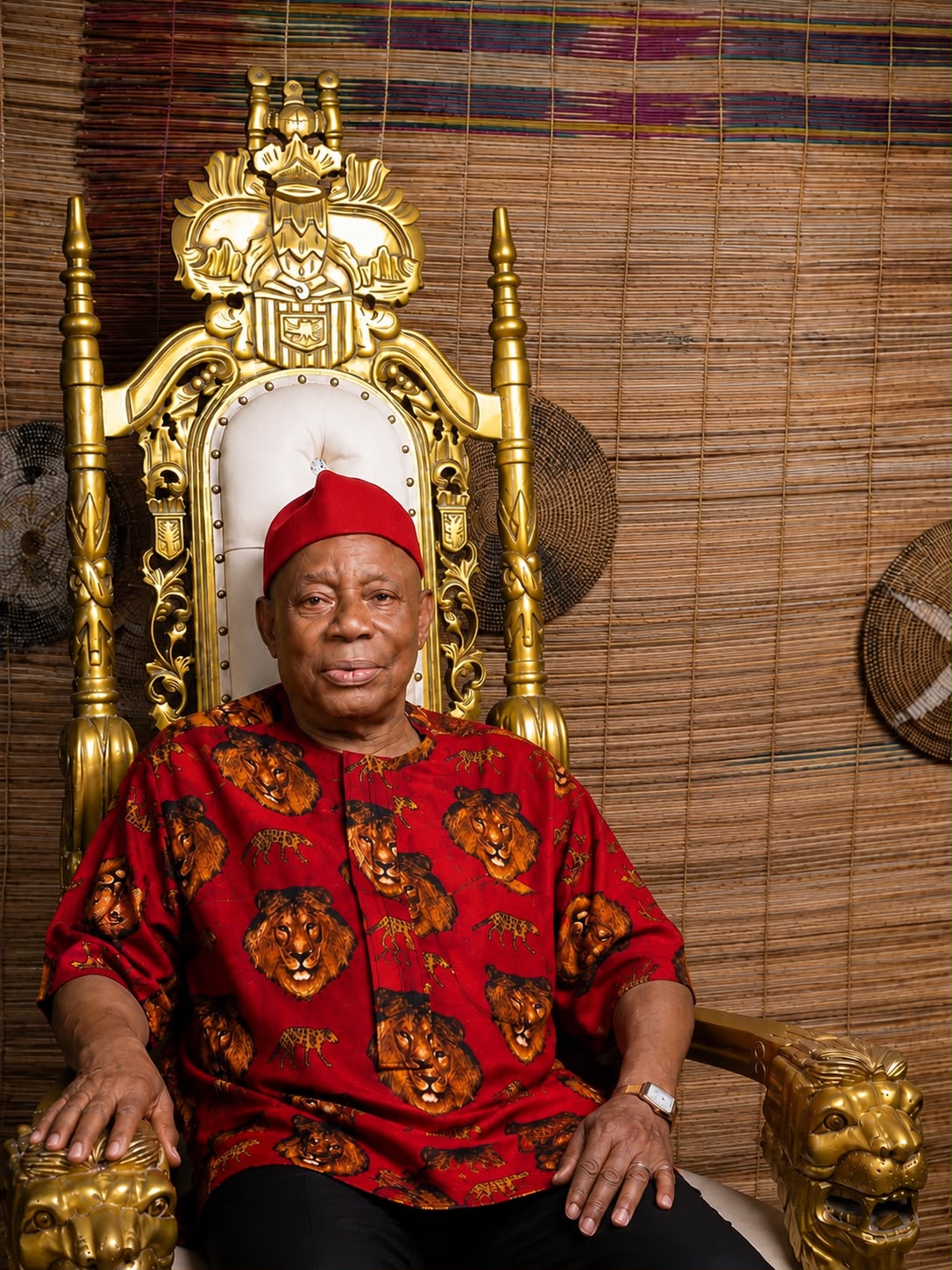 Chief Jerry Aguiyi Portrait